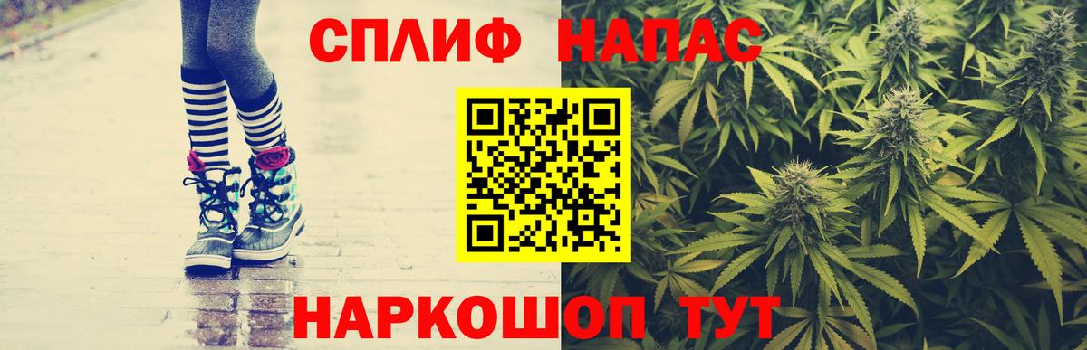 Конопля семена Кострома